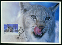Mk Norway Maximum Card 2006 MiNr 1573 | Wildlife. Lynx - Maximumkaarten