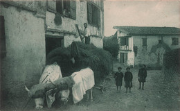 CPA Pays Basque - Rentrée Des Foins Au Vieux Cambo - Un Attelage - M D - Boeufs - Sonstige & Ohne Zuordnung