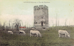 42 Saint Forgeux Tour De L'espinasse  Paysage Champetre (vaches) Couleur - Andere & Zonder Classificatie