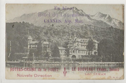 Port-Valais (Suisse, Valais) : L'Hôtel Casino De La Forêt Hameau De Bouveret Env 1910 PF. - Port-Valais