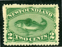 Newfoundland MH 1880 - 1865-1902