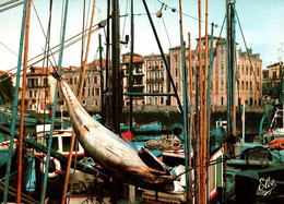 CPM - ST JEAN-de-LUZ - Retour De La Pêche ; Débarquement Du THON ... Edition L.Chatagneau - Pêche