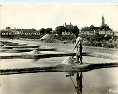 85 * Noirmoutier - Noirmoutier