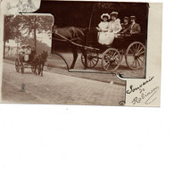 92 LE PLESSIS ROBINSON  ROBINSON Carte Photo Attelage D'ane Avec Calèche , Route De Clamart 1907 - Le Plessis Robinson