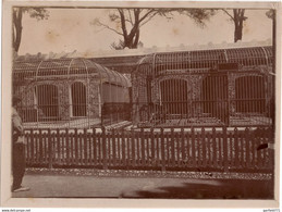 FRANCE - MARSEILLE Jardin Zoologique - 1904 - Oud (voor 1900)