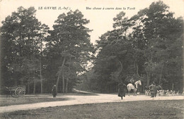 LE GÂVRE - Chasse à Courre Dans La Forêt - VENTE DIRECTE X - Le Gavre