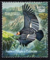 Mexico - 2009 - Bird Conservation - California Condor - Gymnogyps Californianus - Mint Stamp - Mexico