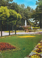 Romania Galati Vedere Din Parc 1970 Postcard - Romania