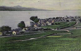 SUISSE - VAUD < PANORAMA DE CULLY - Cully