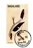 Nagaland 1972 - Bloc Grey Shrike - Oiseau Bird - Mussen