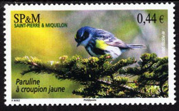 St. Pierre & Miquelon - 2007 - Yellow-rumped Warbler (Setophaga Coronata) - Mint Stamp - Unused Stamps