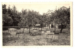 HALLE Zoersel - Hotel Pensioen St Martinushoeve - Lusthof - Niet Verzonden - Zoersel