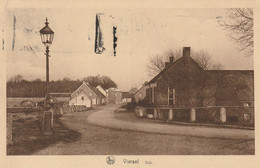 Viersel ( Zandhoven ) : Dijk 1931 - Zandhoven