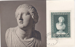 Carte Maximum Pologne Statue 1966 - Maximum Cards