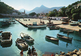 ALGERIE LE PORT ET SES BATEAUX COULEUR REF 3809 - Pêche