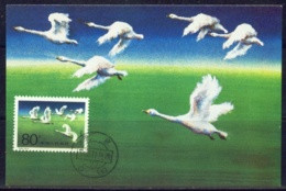 MIGRATORY BIRDS-HOVERING GEESE-MAXIMUM CARD-CHINA-1983-SCARCE-MNH-MC-49 - Gänsevögel