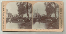 NIAGARA STONE BRIDGE ON THE STATE RESERVATION STERESCOPICA EDIT. GRIFFITH & GRIFFITH - Stereoscopic