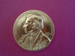 MEDAILLE BRONZE DORE  LE VERRIER FONDATEUR  DE LA METEORLOGIE MODERNE D'APRES ALPHEE DUBOIS 1884 - Andere & Zonder Classificatie