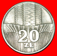 * WATERFALL: POLAND ★ 20 ZLOTYCH 1974!  LOW START ★ NO RESERVE! - Pologne