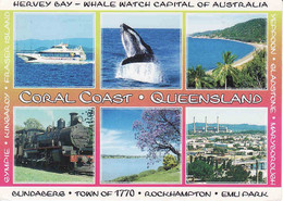 Australia, Queensland (QLD) > Coral Coast, Whale, Used - Other & Unclassified