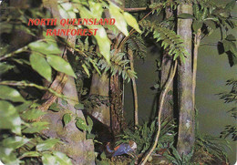 Australia, Queensland (QLD) > North Rainforest, Used - Altri & Non Classificati