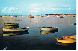 Delcampe - CPSM PORT DE LA POINTE ST GILDAS - Préfailles