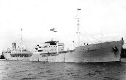 Delcampe - ¤¤    -  Carte-Photo Du Bateau De Commerce "  LE HAVRE  "   -  Cargo   -  Voir Description  -   ¤¤ - Handel