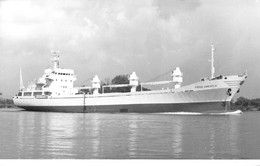 Delcampe - ¤¤    -  Carte-Photo Du Bateau De Commerce "  FRIGO  AMERICA  "   -  Cargo   -  Voir Description  -   ¤¤ - Handel