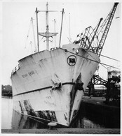 Delcampe - ¤¤    -  Carte-Photo Du Bateau De Commerce "  BENNY  SKOU  "   -  Cargo   -  Voir Description  -   ¤¤ - Handel