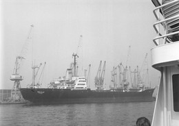 Delcampe - ¤¤    -  Cliché Du Bateau De Commerce "  TRUJILLO  "   -  Cargo   -  Voir Description  -   ¤¤ - Handel