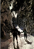 Delcampe - IMAGES DE CHEZ NOUS SKI DE FOND EN FORET - Wintersport
