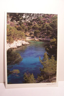 Delcampe - CASSIS   - Calanque De Port-Pin  - Photo  N. FOURNIER  - ( Pas De Reflet Sur L'original ) * - Cassis