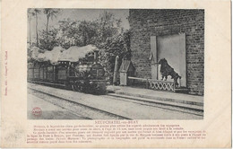 Delcampe - 76 Neufchatel En Bray -  Marquis Le Chien Garde Barriere - Neufchâtel En Bray