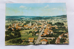 Delcampe - Cpm, Fraize, Rue De La Costelle Et Vue Générale, Vosges 88 - Fraize