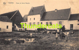 CPA SAINTES FERME DE SAINTE RENELDE - Tubeke