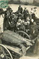 Concarneau * 1 Carte Photo + 1CPA * Tortue Géante Pêchée à Concarneau 2 Juin 1907 Sur Bateau Dominateur Du Monde - Concarneau