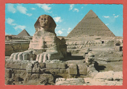Delcampe - CP AFRIQUE EGYPTE GIZEH 2 - Gizeh