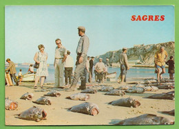 Delcampe - Sagres - Lota - Pescadores. Faro. Portugal. - Faro