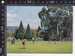 Delcampe - CPA SPORTS, GOLF, JOHANNESBURG RAND PARK GOLF COURSE - Golf