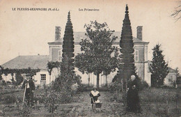LE PLESSIS-GRAMMOIRE. - Les Primevères - Other & Unclassified