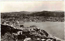 Delcampe - WELLINGTON  FROM  MOUNT VICTORIA - Neuseeland