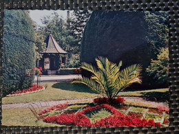 Delcampe - Carte MUNSTER Un Coin Du Parc - Munster