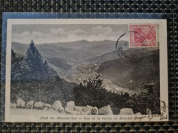 Delcampe - Carte MUNSTER Vue De La Vallée Blick Munsterthal - Munster
