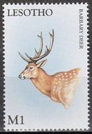 Delcampe - Lesotho 1998 - Cerf De Barbarie Ou De L'Atlas (Cervus Elaphus Barbarus) - Wild
