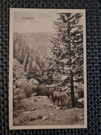 Delcampe - Carte MUNSTER Vallée Fischboedle - Munster