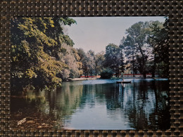 Delcampe - Carte MUNSTER Parc De La Fecht Lac De Canotage Entrée Piscine - Munster