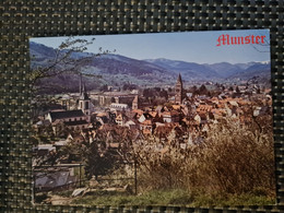 Delcampe - Carte MUNSTER La Ville Centre De Cure - Munster