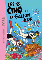 Les Cinq Et Le Galion D' Or - D' Enid Blyton - Bibliothèque Rose - N° 28  - 2012 - Bibliothèque Rose