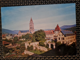 Delcampe - Carte MUNSTER Ruines Du Cloitre Ancienne Abbaye Eglise - Munster