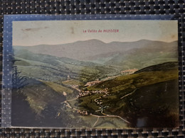 Delcampe - Carte MUNSTER Vallée Vue - Munster